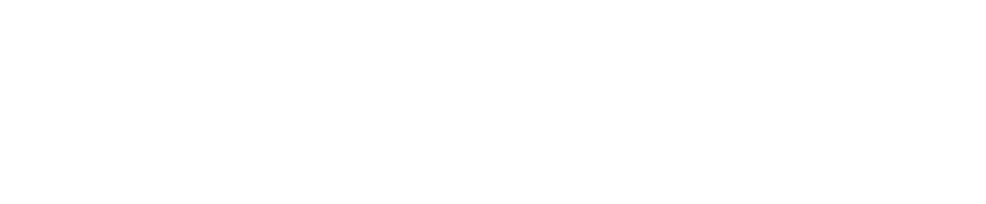 Logo API Consulta Brasil